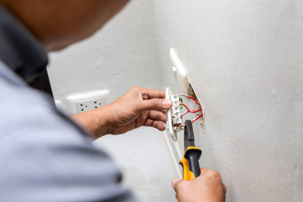Best Electrical Repair Services  in Schoolcraft, MI