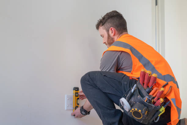 Best Electrical System Inspection  in Schoolcraft, MI