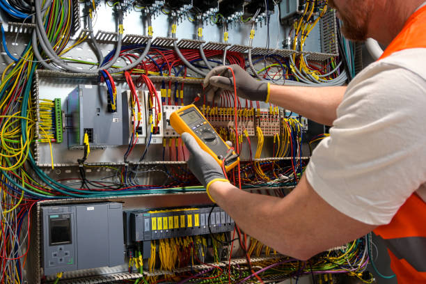 Best Electric Panel Repair  in Schoolcraft, MI