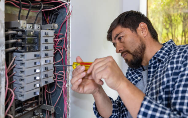 Best Electrician for Home Renovation  in Schoolcraft, MI